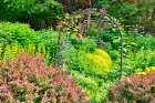 USA, Washington State, Sammamish. Garden in bloom in sunny location Art Print